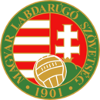 Football - Soccer - Hungarian Cup - 2020/2021 - Home