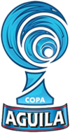 Football - Soccer - Copa Colombia - 2019 - Home