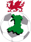 Football - Soccer - Welsh Premier League - Relegation Round - 2013/2014