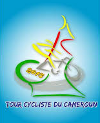 Cycling - Tour du Cameroun - Statistics