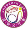 Tennis - Shenzhen - 2015 - Table of the cup
