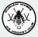 Durham Wasps