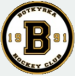 Botkyrka Hockey Club
