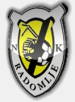 NK Radomlje (SLO)