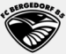 ASV Bergedorf 85
