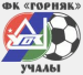 FC Gornyak
