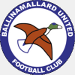 Ballinamallard United FC (IRN)
