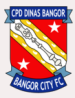 Bangor City FC (GAL)