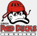 Red Ducks Vaasa