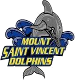 Mount Saint Vincent Dolphins