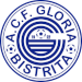 CF Gloria Bistrita 1922 (ROM)