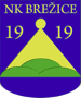 NK Brezice 1919 (SLO)
