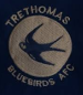 Trethomas Bluebirds AFC