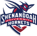 Shenandoah Hornets