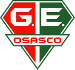 Grêmio Osasco U19