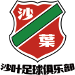 Nanjing Shaye FC