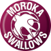 Moroka Swallows FC U23
