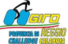Cycling - Giro della Provincia di Reggio Calabria - 2011 - Detailed results