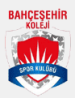 Bahcesehir Koleji