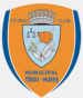 FCM Târgu Mures (ROM)