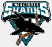 Worcester Sharks