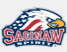 Saginaw Spirit