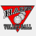 Harnes VB
