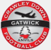 Crawley Down Gatwick FC