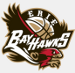 Erie BayHawks