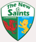 The New Saints FC (Gal)