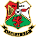 Llanelli Town AFC (GAL)