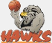 Hawke's Bay Hawks