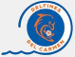 Delfines del Carmen