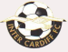 Cardiff Metropolitan University FC