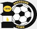 Aberdare Town FC