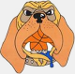 BMI Bloodhounds