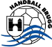 Handball Brugg