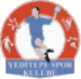 Istanbul Yeditepe SK