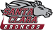 Santa Clara Broncos