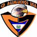 CD Aguiluchos USA (USA)