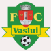 FC Vaslui (ROM)