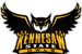 Kennesaw State Owls