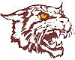 Bethune-Cookman Wildcats