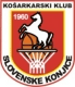 KK Slovenske Konjice