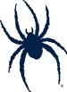 Richmond Spiders