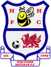Holyhead Hotspur FC
