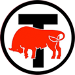 Taurus Volleyball