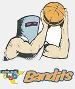 Albury Wodonga Bandits