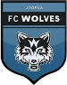 FC J&otilde;geva Wolves II