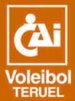 CAI Voleibol Teruel